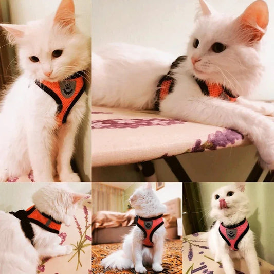 Adjustable Mesh Cat & Dog Harness Vest with Walking Lead Leash – Breathable Polyester for Small & Medium Pets