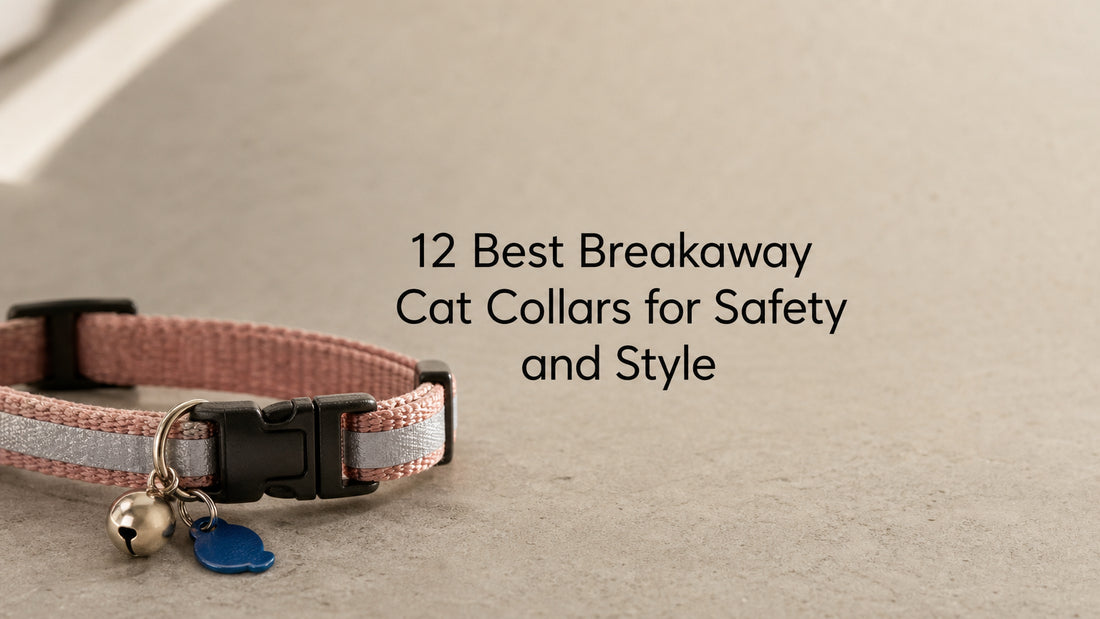 12 Best Breakaway Cat Collars for Safety and Style