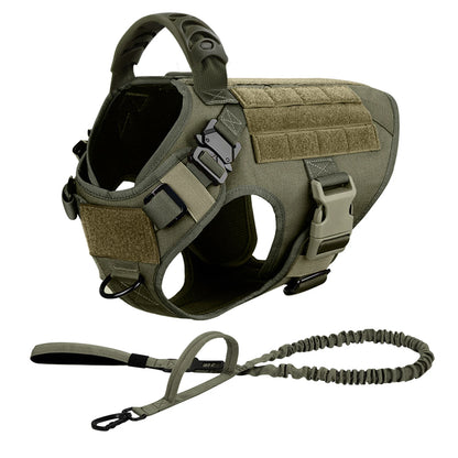 Green tactical dog harness with matching bungee leash, two-piece set on a white background