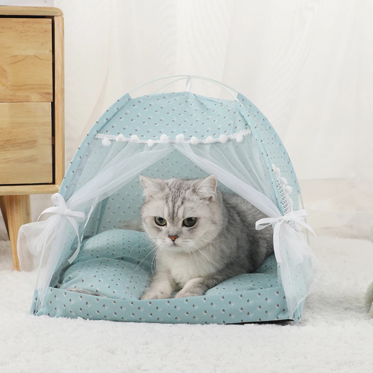 Light blue star print cat tent bed with sheer lace curtains and pom-pom trim