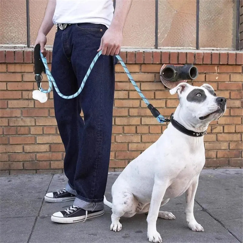 Owner walking a large white dog on a blue reflective rope dog leash with padded handle on a city sidewalk