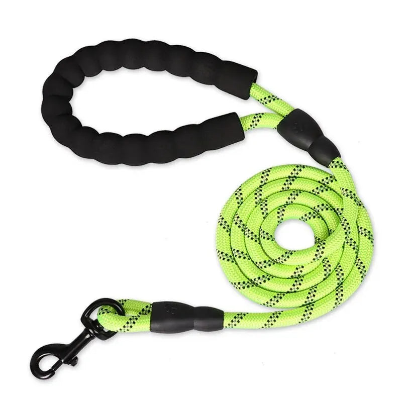 Green reflective rope dog leash coiled with black padded handle and metal swivel clip