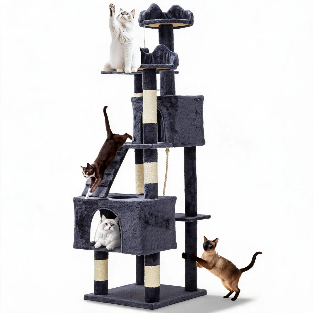 Grey 72-inch cat tree tower on a white background with four cats climbing and resting
