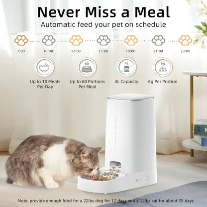 Cat eating from the ROJECO automatic feeder beside a schedule graphic showing up to 10 meals per day and 60 portions per meal