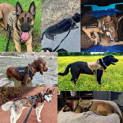 Collage of large dogs including a Belgian Malinois and a Husky wearing the tactical harness outdoors