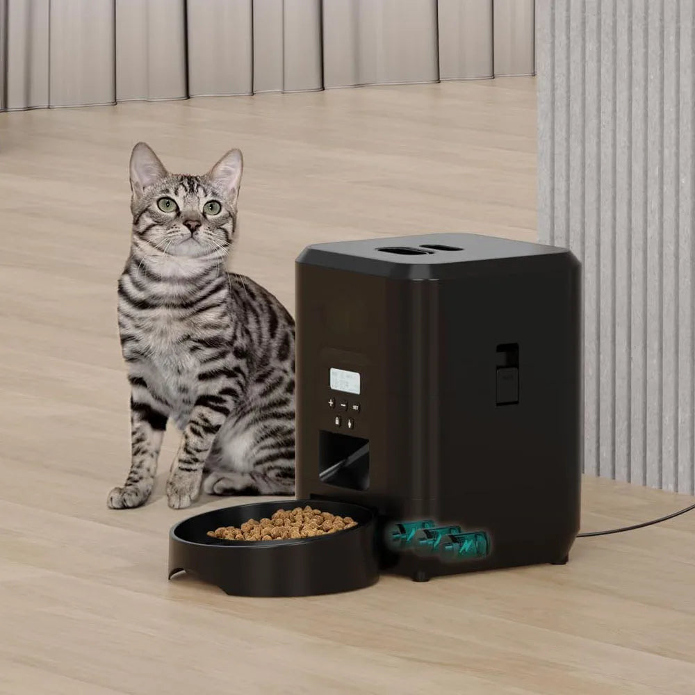 Tabby cat sitting beside a black automatic pet feeder with a bowl of dry food on a wood floor
