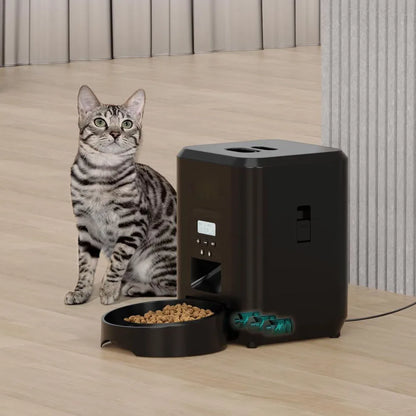 Tabby cat sitting beside a black automatic pet feeder with a bowl of dry food on a wood floor