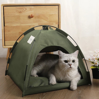Green canvas pet tent bed on a wood floor with a white cat looking out