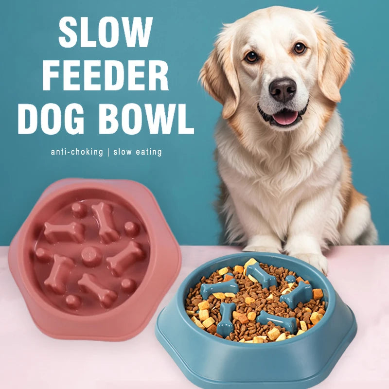 Golden Retriever beside pink and blue anti-choking slow feeder dog bowls, one filled with kibble