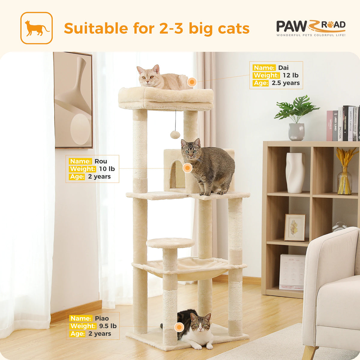 Beige cat tree holding three adult cats weighing 9.5 to 12 lb, suitable for 2-3 big cats