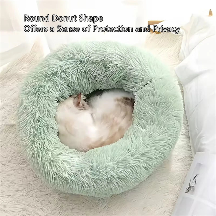 Cat curled into the raised rim of a green round donut pet bed