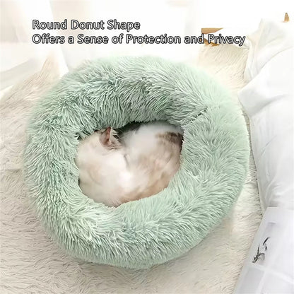Cat curled into the raised rim of a green round donut pet bed