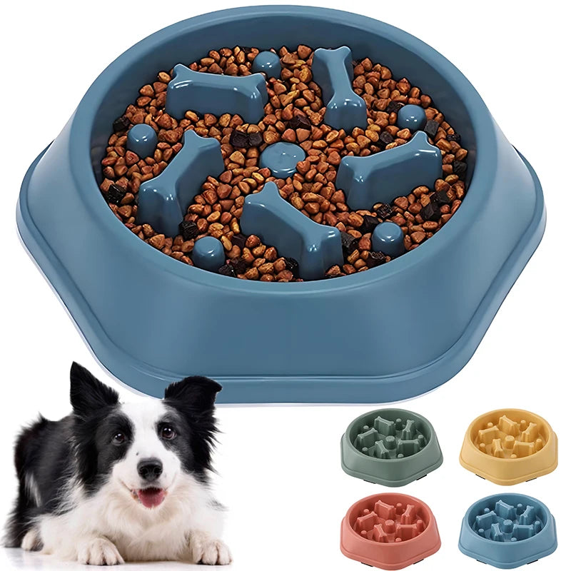 Blue maze slow feeder dog bowl filled with kibble, shown with green, yellow, pink and blue bowls and a Border Collie