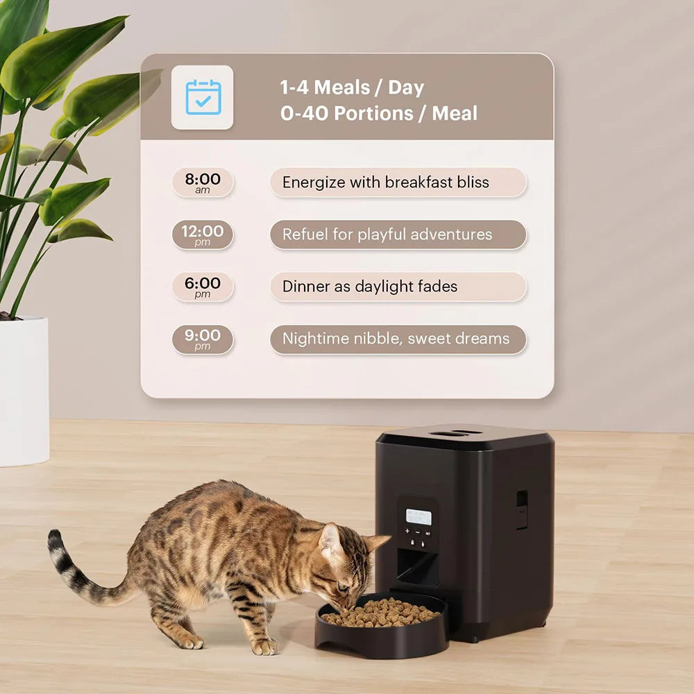 Feeding schedule infographic: 1 to 4 meals per day and 0 to 40 portions per meal, with a cat eating from the feeder