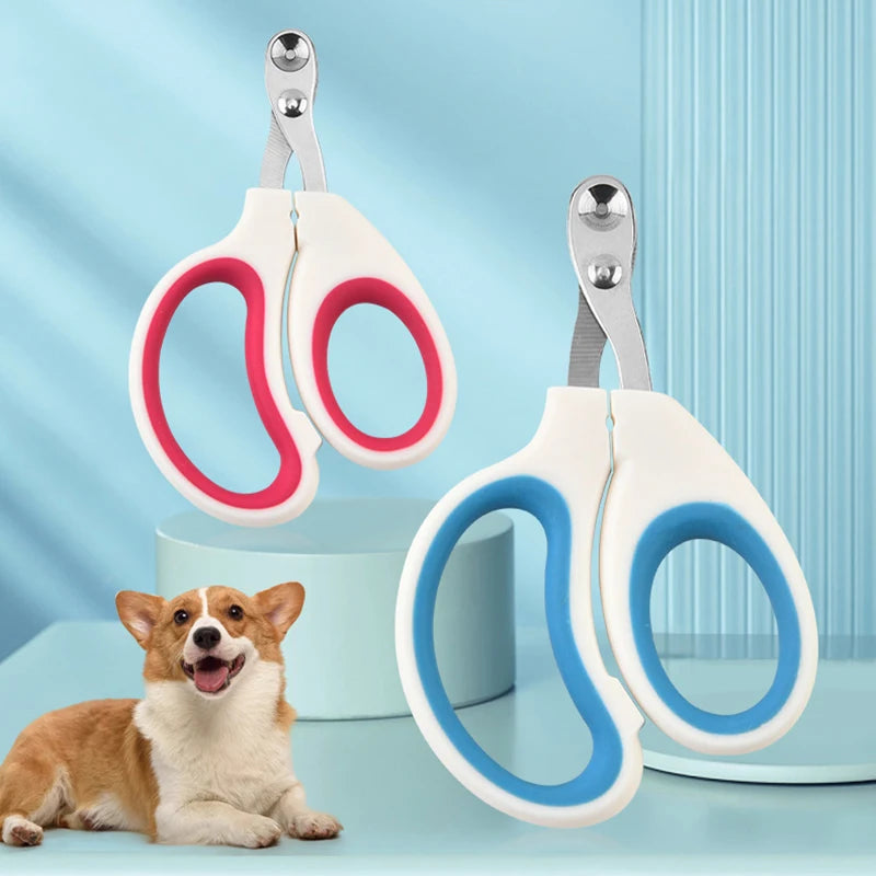 Red and blue cat nail clippers beside a corgi on a light blue background