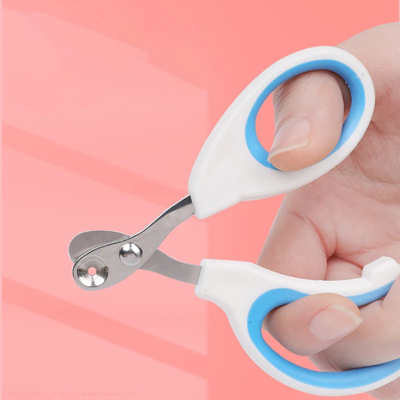 Hand holding blue cat nail clippers, showing the round cutting hole in the steel blade