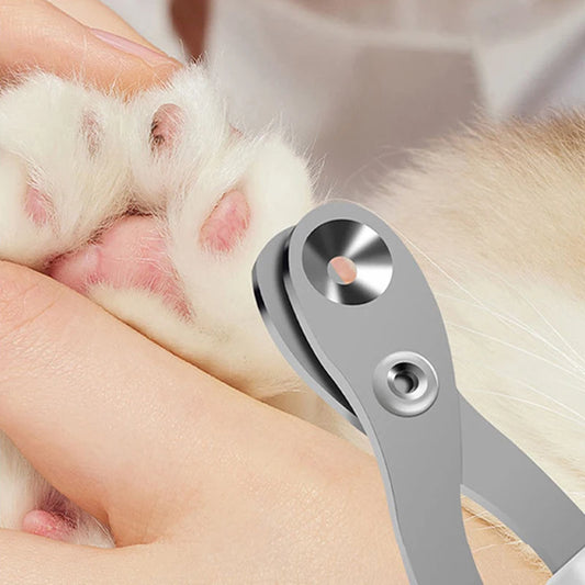 Round-hole pet nail clipper positioned on a white cat's front claw