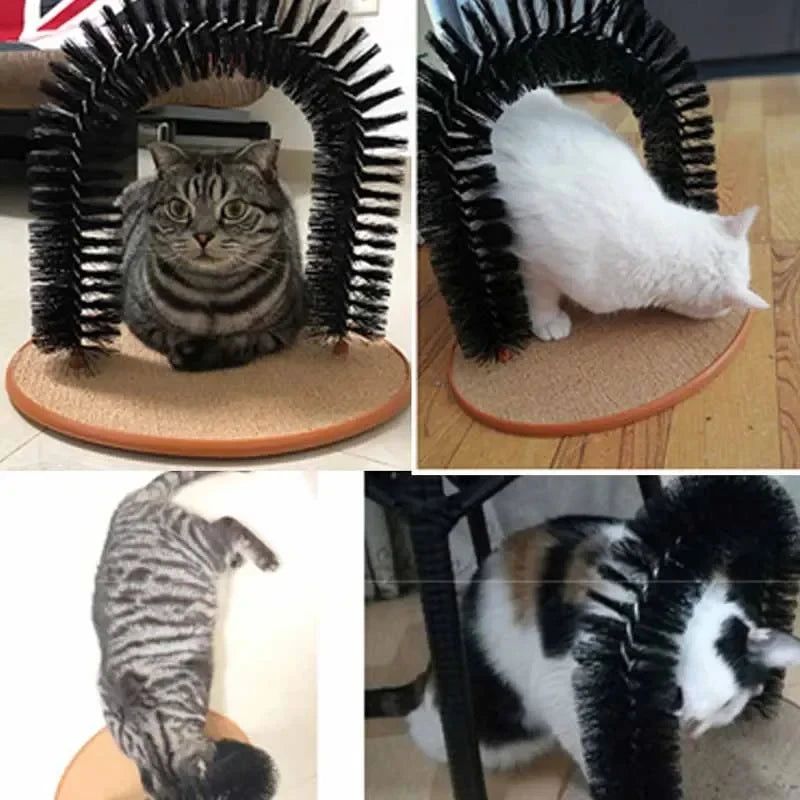Four cats at home using the self groomer arch, rubbing their heads and backs on the bristles