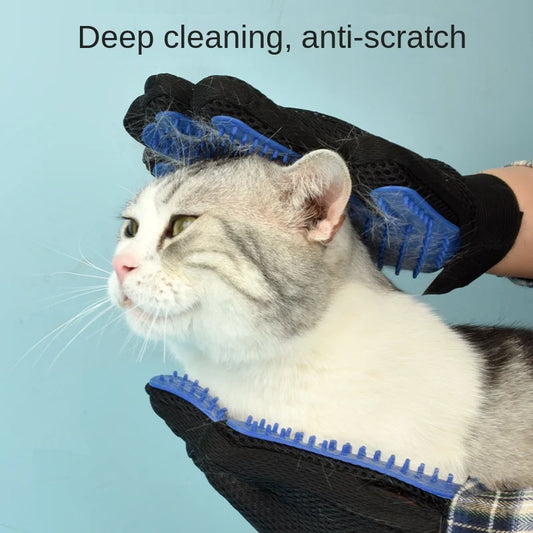 Blue silicone grooming gloves brushing a cat's head and neck