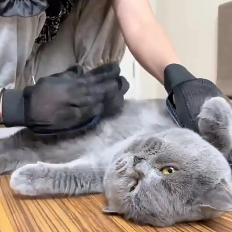 Person wearing black silicone grooming gloves brushing a relaxed gray cat lying on a wooden floor